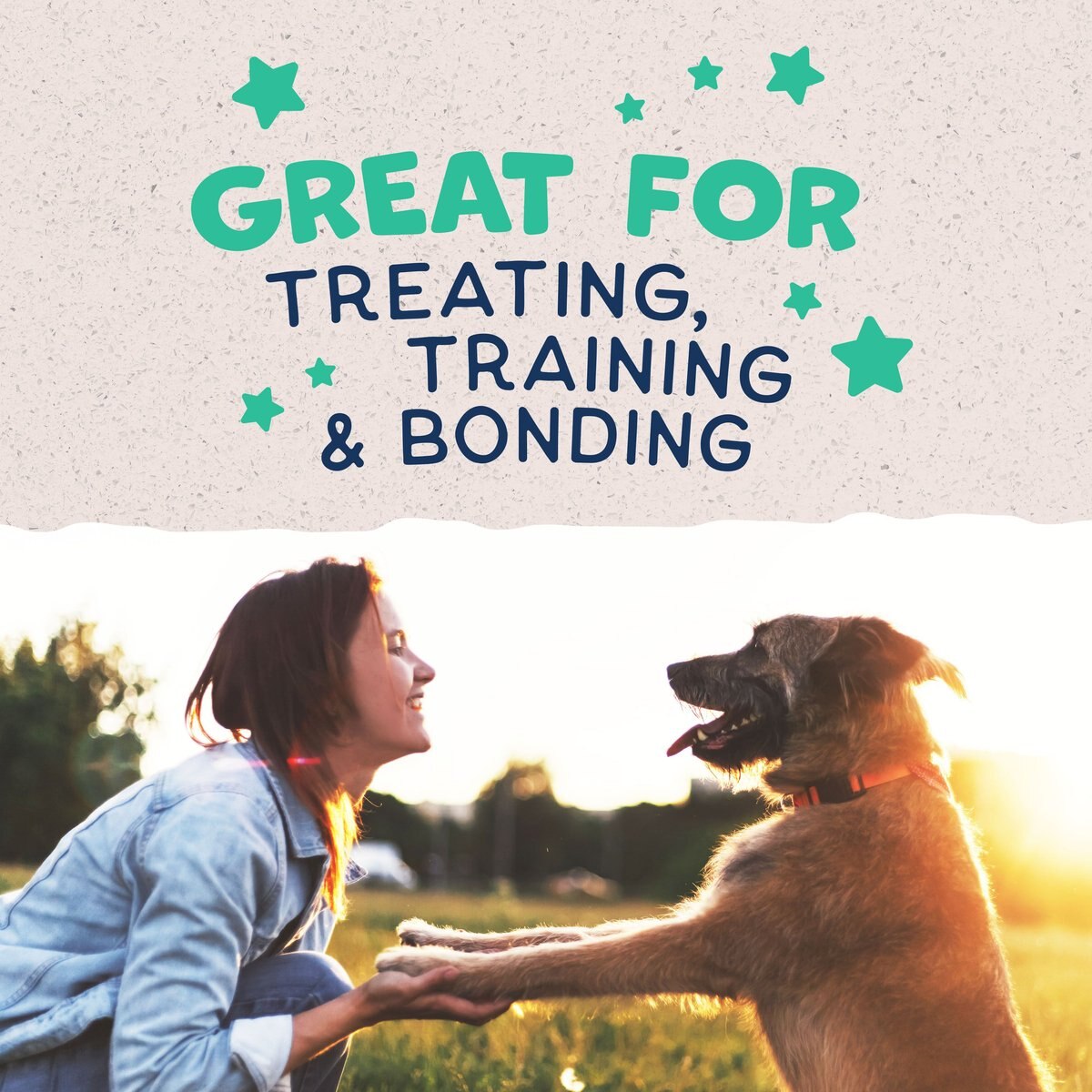 Natural Balance Rewards Jumpin' Stix with Real Chicken Dog Treats Dog Treats | PetMax Canada