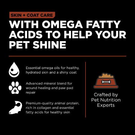 Go! Skin + Coat Care Large Breed Adult Salmon Recipe With Grains for dogs