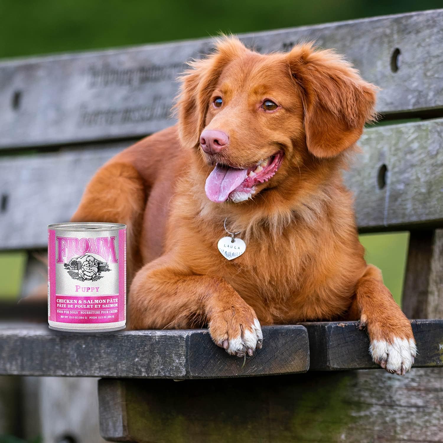 Fromm Canned Dog Food Classic Puppy Chicken and Salmon