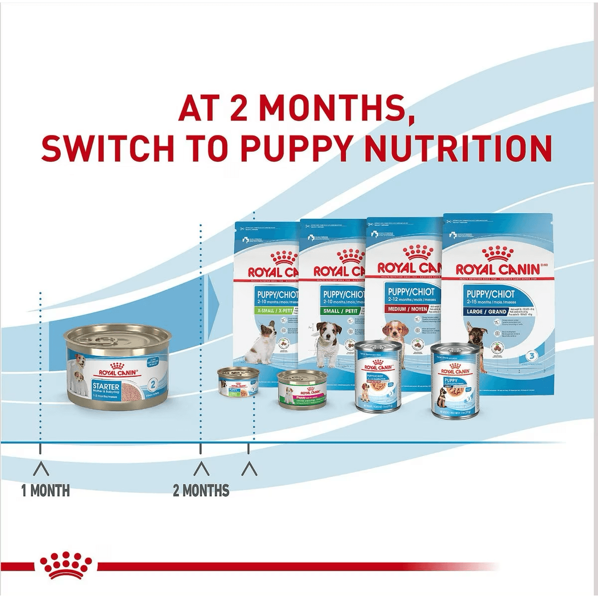 Royal Canin Size Health Nutrition Starter Mother & Babydog Mousse In Sauce Canned Dog Food - 145g - Canned Dog Food - Royal Canin - PetMax Canada