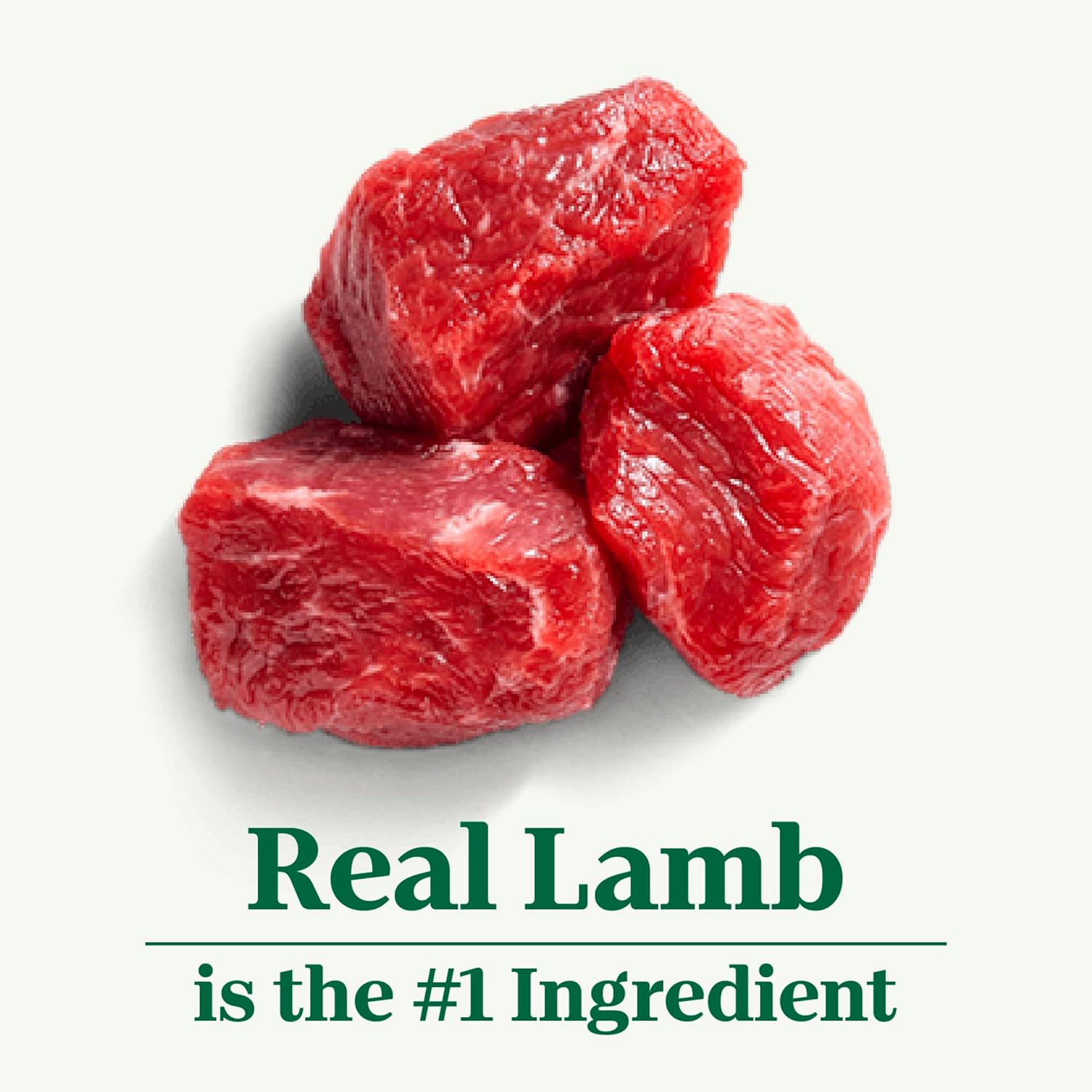 Nutro Wholesome Essentials Nourriture pour chiens adultes Agneau et riz