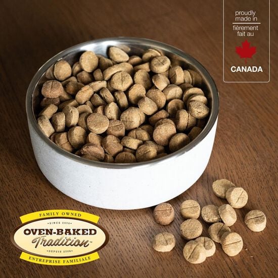 Oven Baked Tradition Dog Adult Fish Large Breed