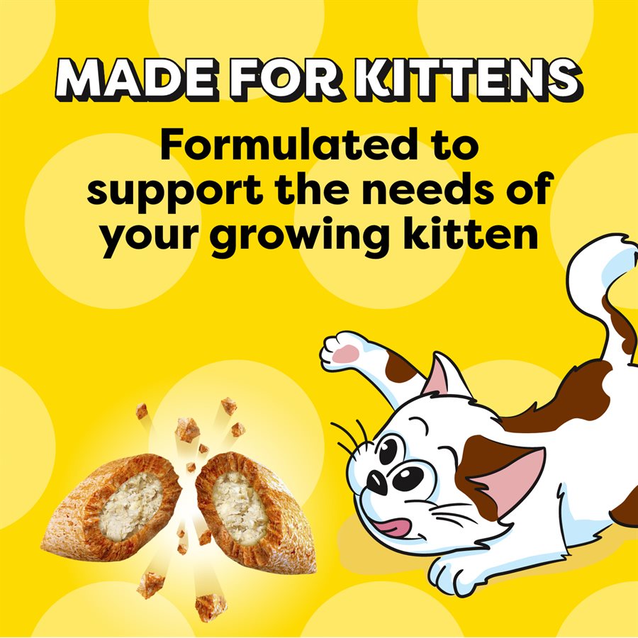 Temptations Kitten Cat Treats Salmon & Dairy Flavour