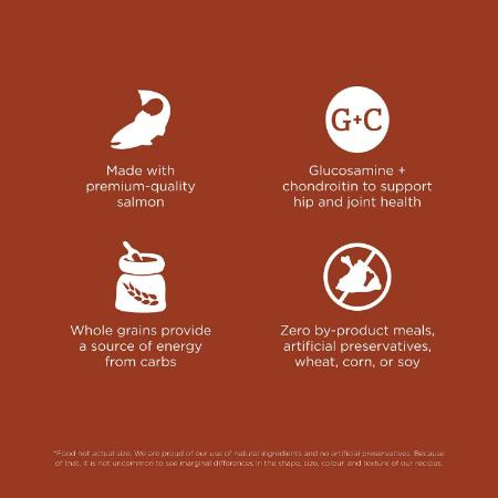 Go! Skin + Coat Care Large Breed Adult Salmon Recipe With Grains for dogs