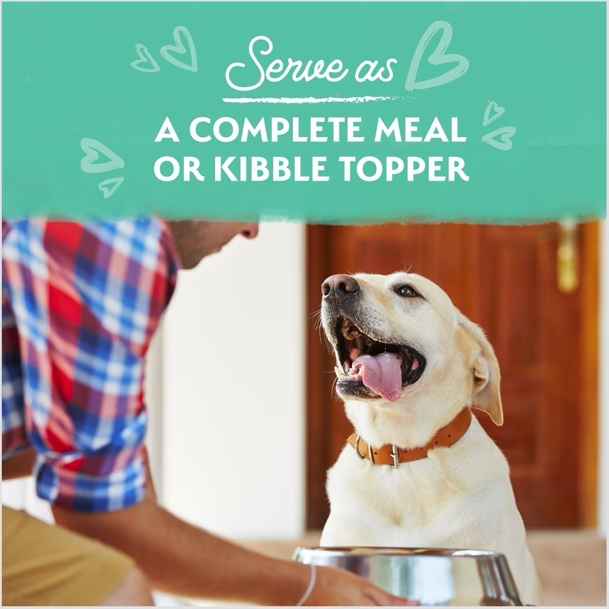 Natural Balance Limited Ingredient Grain-Free Chicken Stew Wet Dog Food Canned Dog Food | PetMax Canada