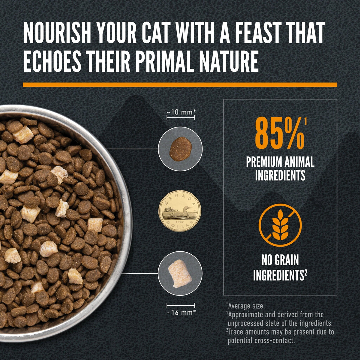 Orijen Wild Reserve Free-Run Chicken & Wild-Caught Fish Recipe Dry Cat Food - Kibble and morsel size, 85% premium animal ingredients, no grain ingredients - Orijen - PetMax Canada
