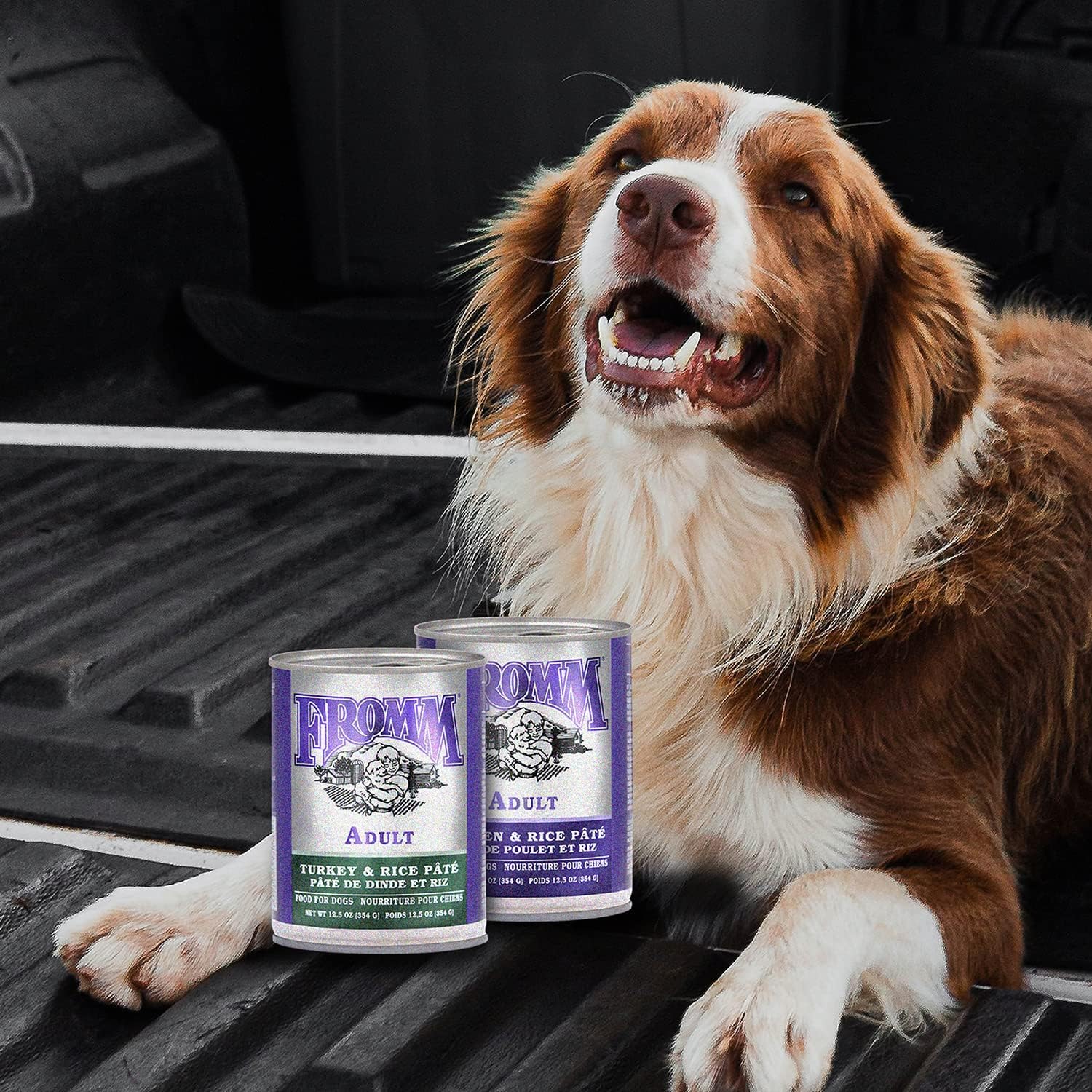 Fromm Canned Dog Food Classic Chicken and Rice