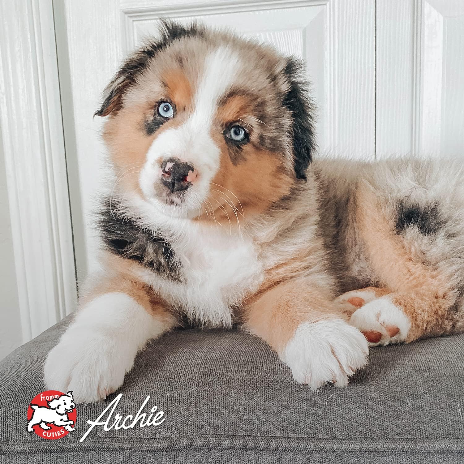 Fromm Canned Dog Food Classic Chicken and Rice