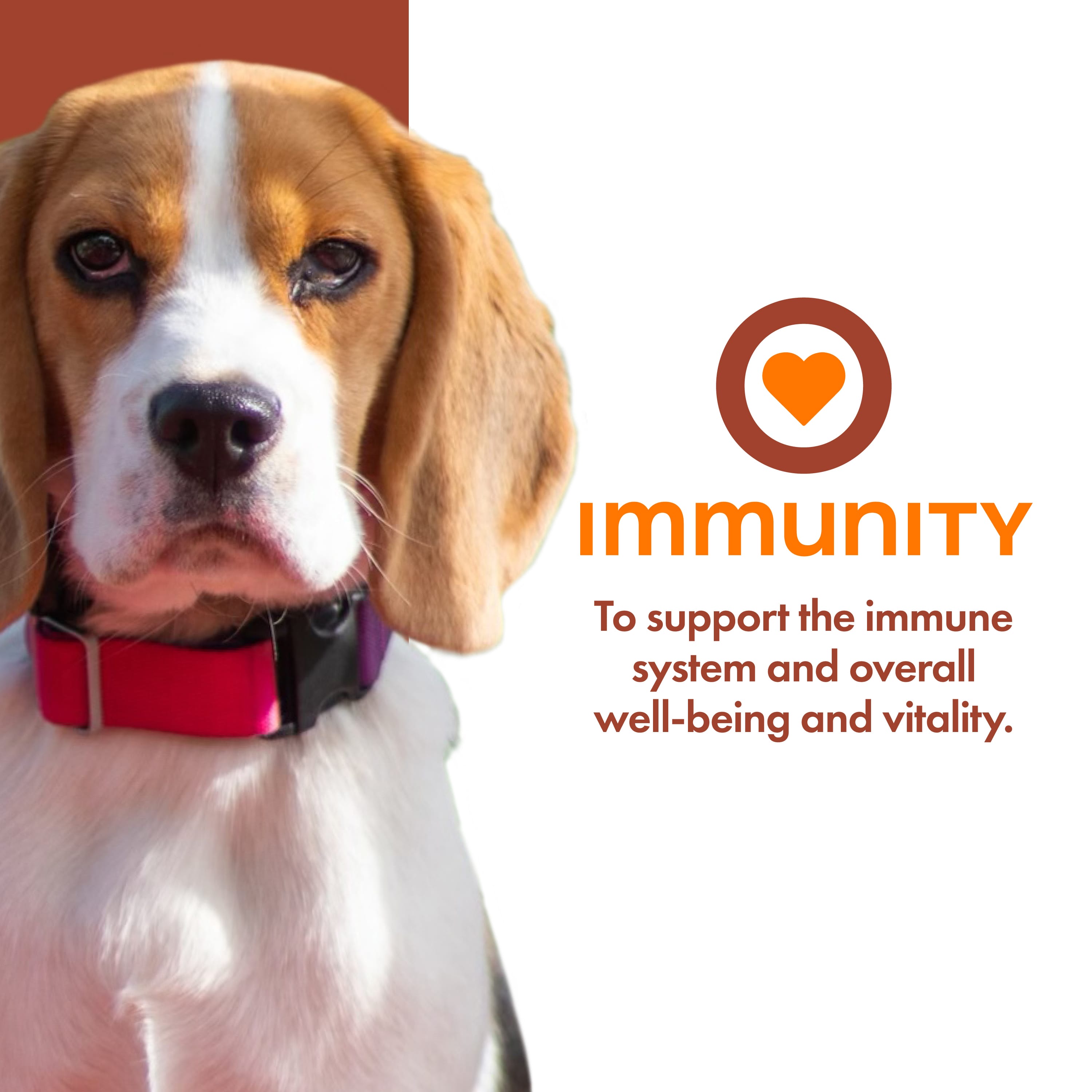 Fromm Nutritionals Immunity Dog Supplement