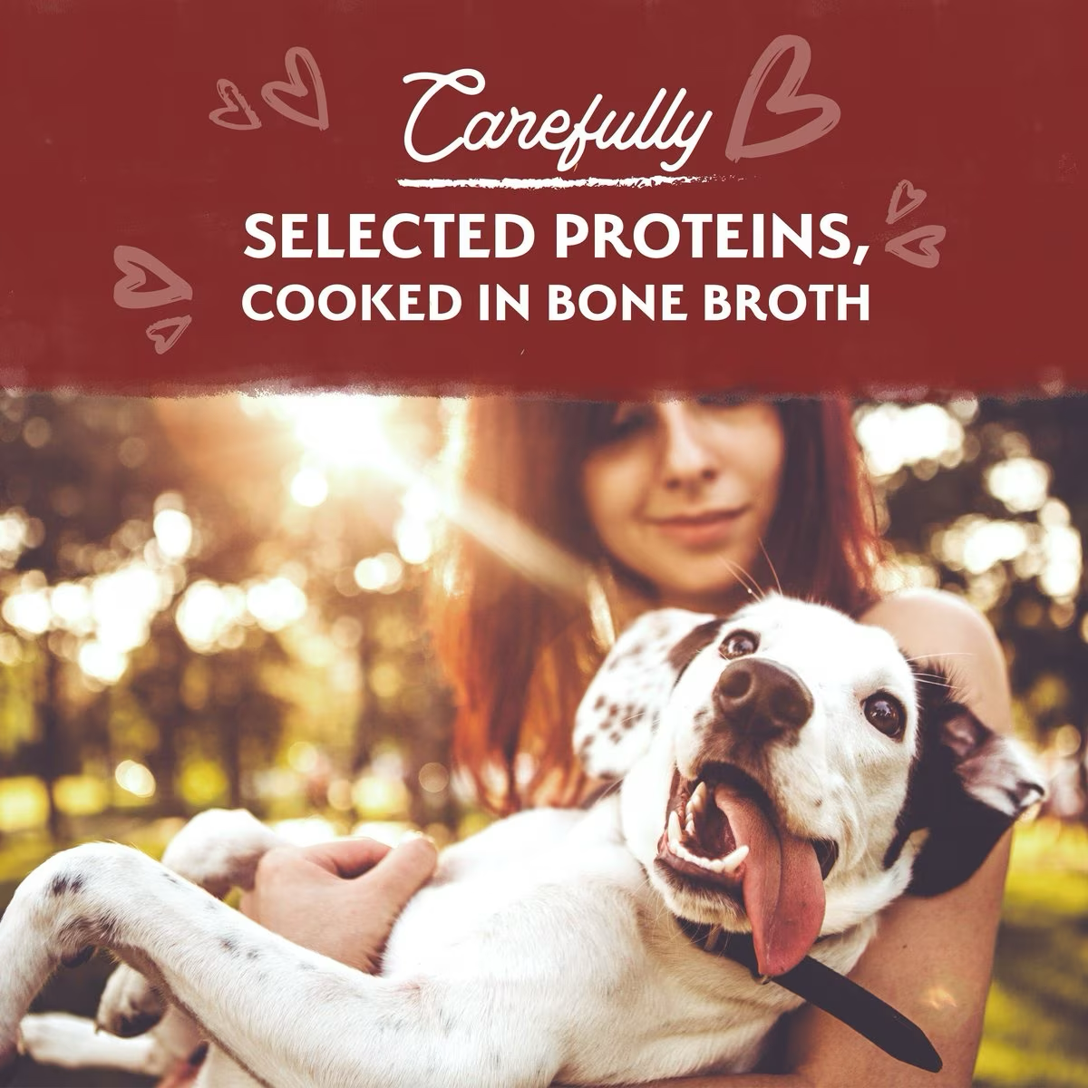 Natural Balance Limited Ingredient Grain-Free Beef Stew Wet Dog Food Canned Dog Food | PetMax Canada