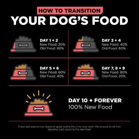 Go! Carnivore Grain Free Salmon + Cod Recipe for dogs