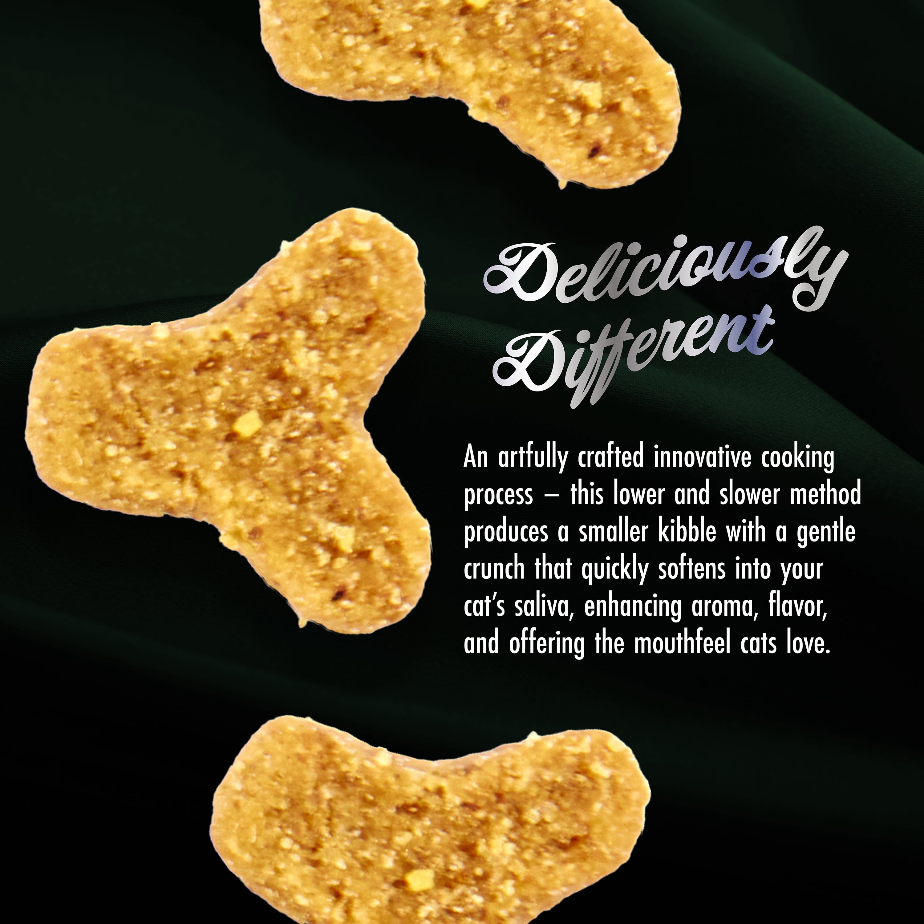 Fromm Purr-Snickitty Salmon Splendour Recipe For Cats