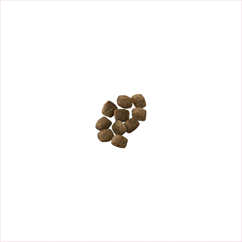 Purina Pro Plan Sensitive Skin & Stomach 7+ Salmon & Rice Formula Dry Dog Food