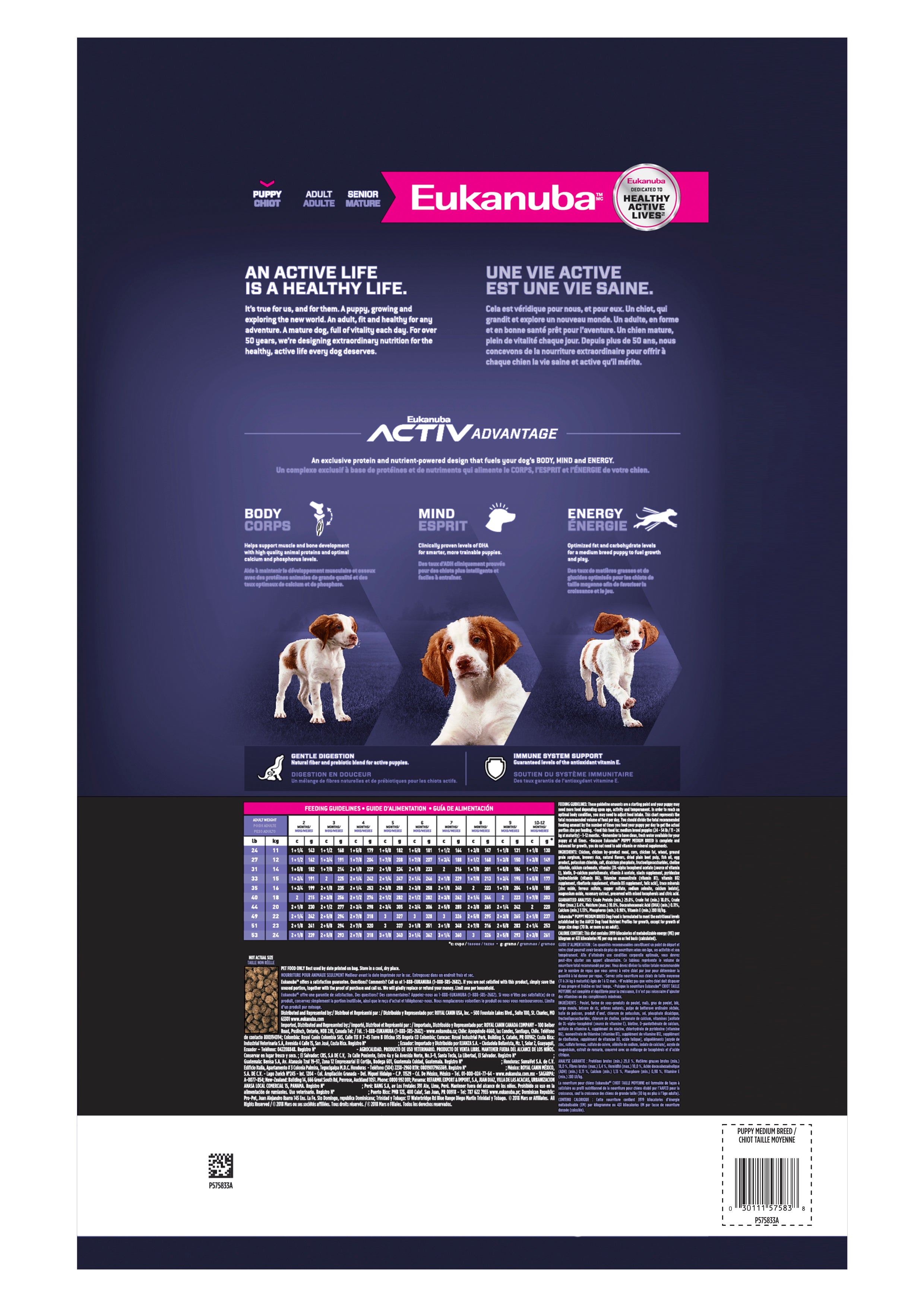 Eukanuba Puppy Medium Breed Dry Dog Food - 13.6 Kg - Dog Food - Eukanuba - PetMax Canada