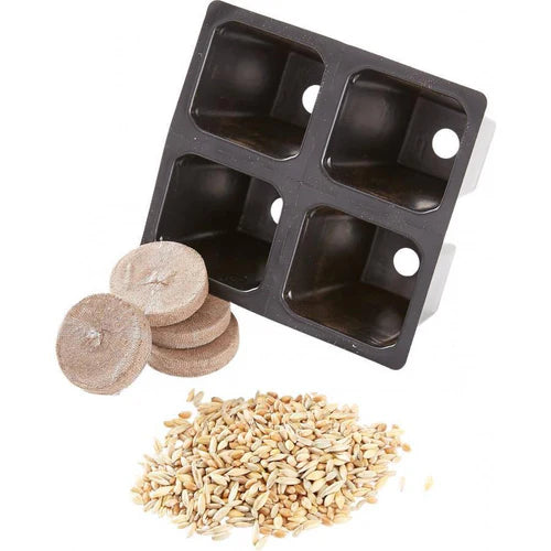 Smart Cat Kitty Garden Seed Refill Kit