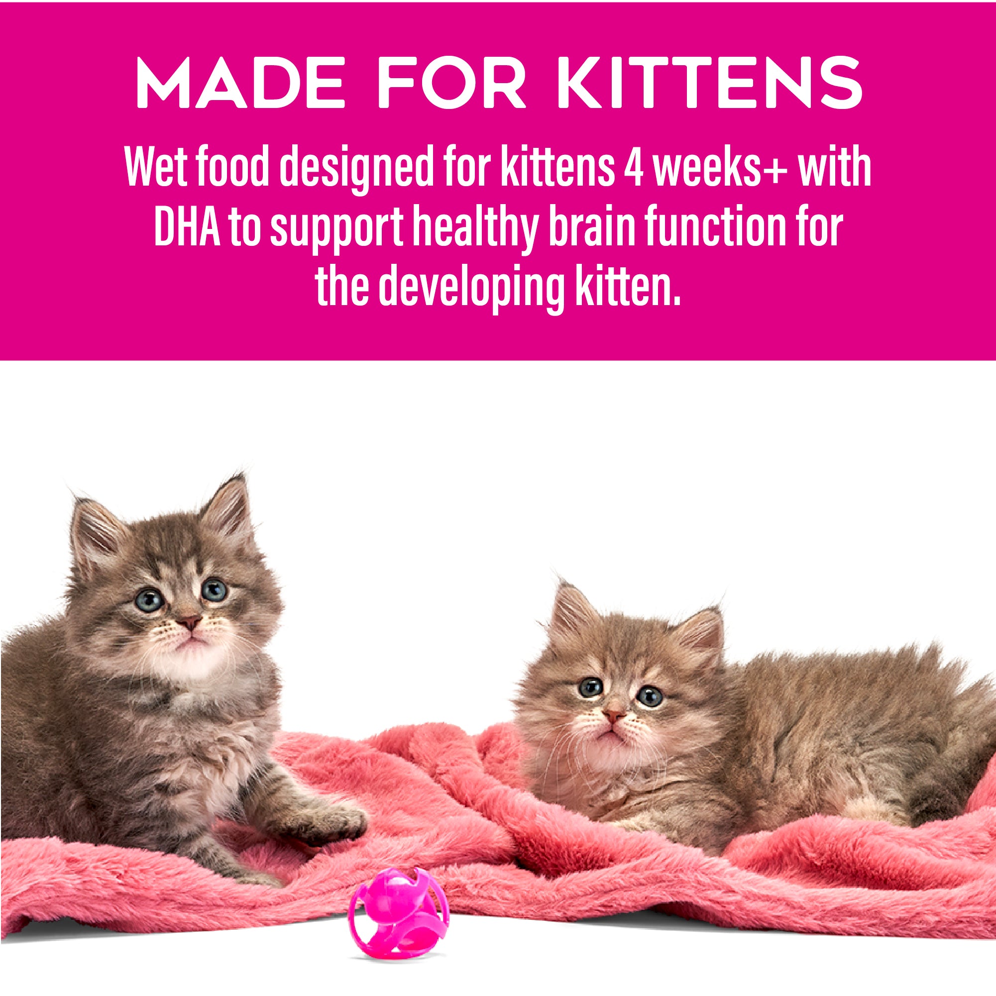 Tiki Cat Baby Pâté Chicken, Salmon & Chicken Liver Recipe Wet Kitten Food - Product Highlights 5 - Tiki Cat - PetMax Canada