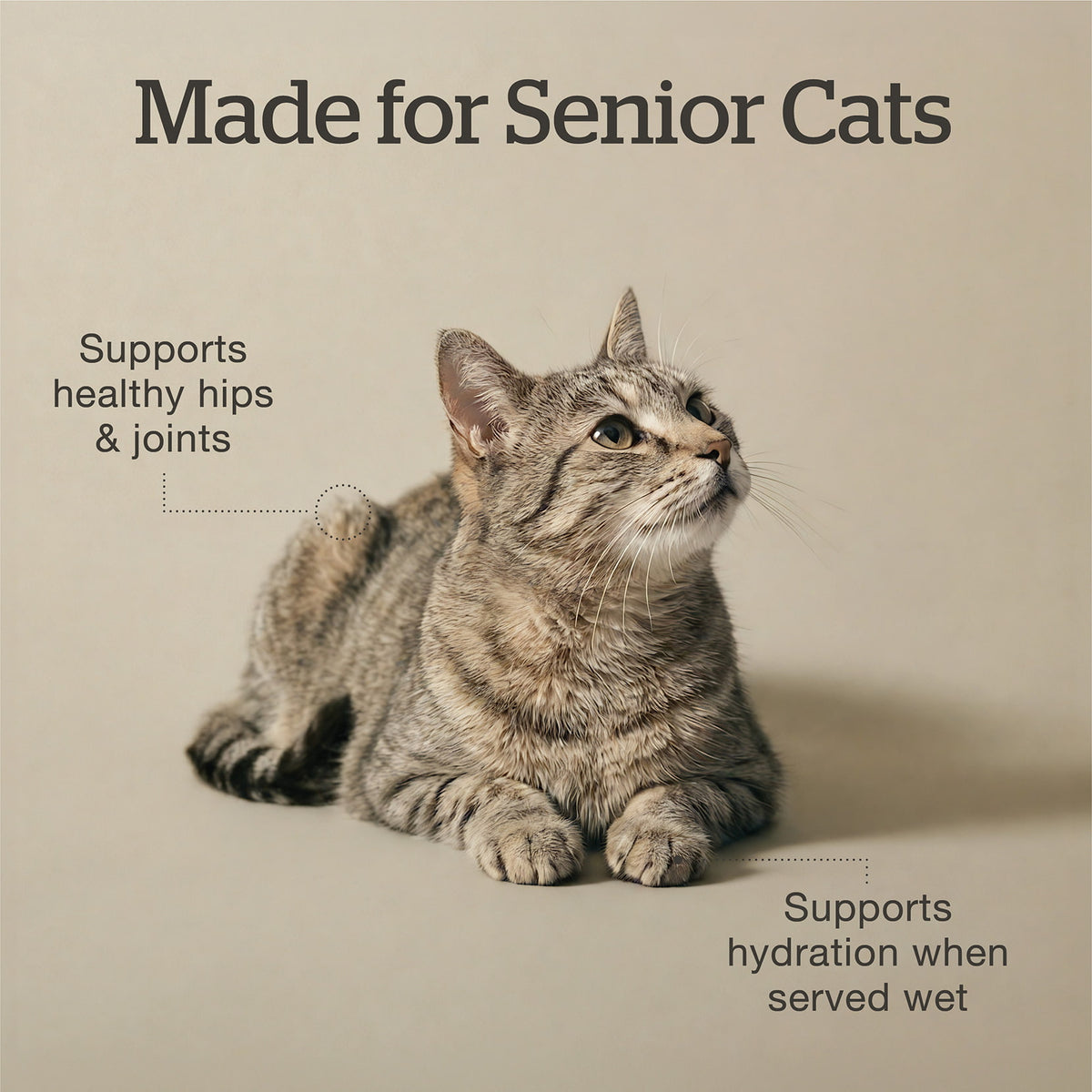 Now Fresh Good Gravy Chicken Coated in Bone Broth for Senior Cats - Made for senior cats: hip, joint and hydration support - PetMax Canada