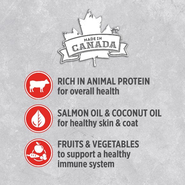 Nutrience Infusion Canned Adult Pâté with Canadian Angus Beef Dog Food