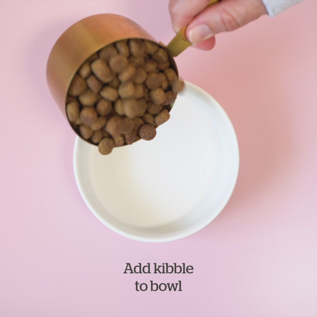 Load video: New Good Gravy from NOW Fresh