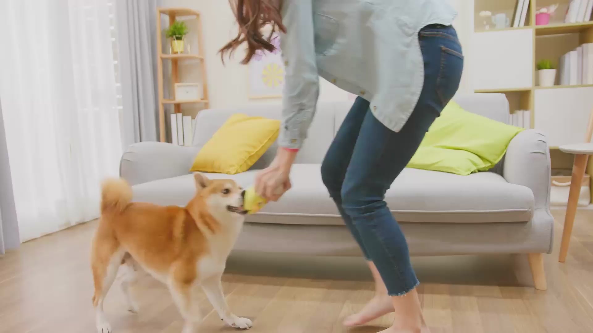 Load video: Dog playing with dog toys from PetMax.ca with his owner