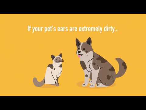 Wellmark Ph Balanced Ear Cleaning Solution