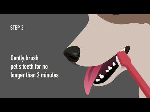 Wellmark Dental Rinse