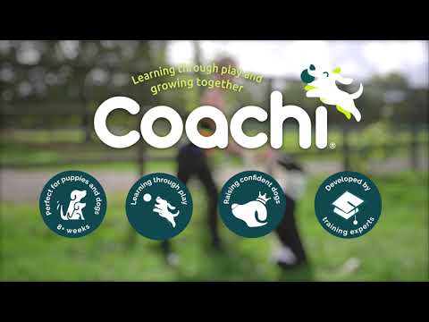Coachi Chase & Crinkle Dog Dummy, Navy
