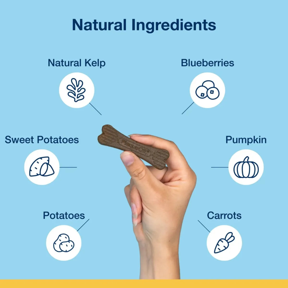 Plaque Off System Mini os dentaires de légumes et de myrtilles