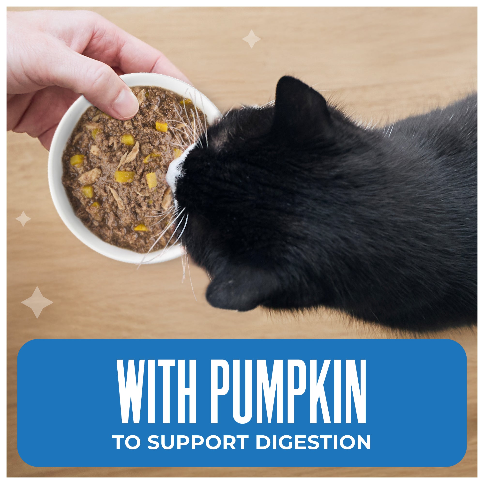 Tiki Cat Aloha Friends Tuna, Tilapia & Pumpkin Recipe in Broth Wet Cat Food - Product Highlights 2 - Tiki Cat - PetMax Canada
