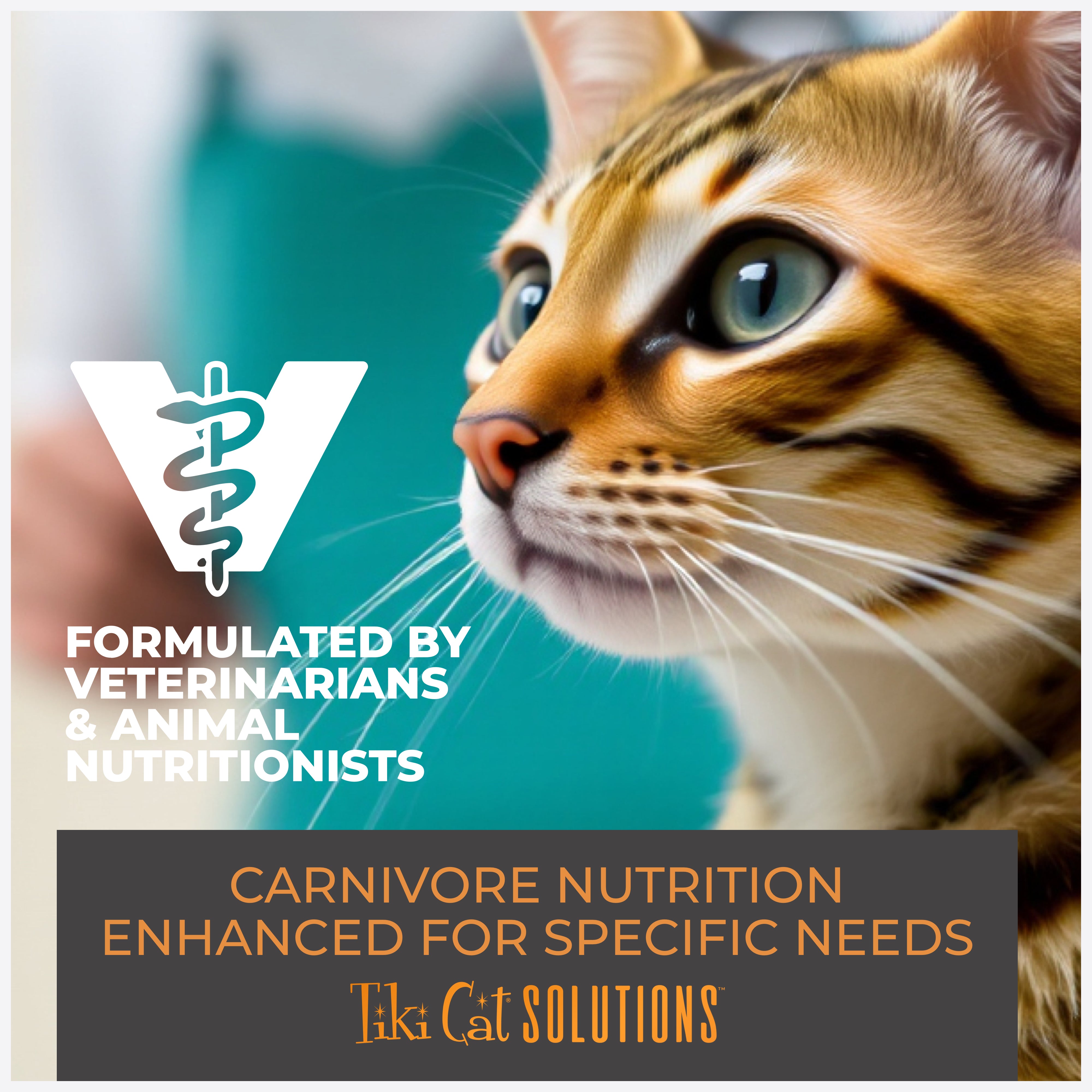 Tiki Cat Solutions Mousse Mineral Balance Tuna & Salmon Recipe Wet Cat Food - Product Highlights 6 - Tiki Cat - PetMax Canada