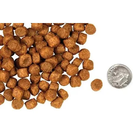 Fromm Four Star Canine Game Bird Recipe