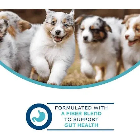 Fromm Nutritionals Digestive Dog Treats