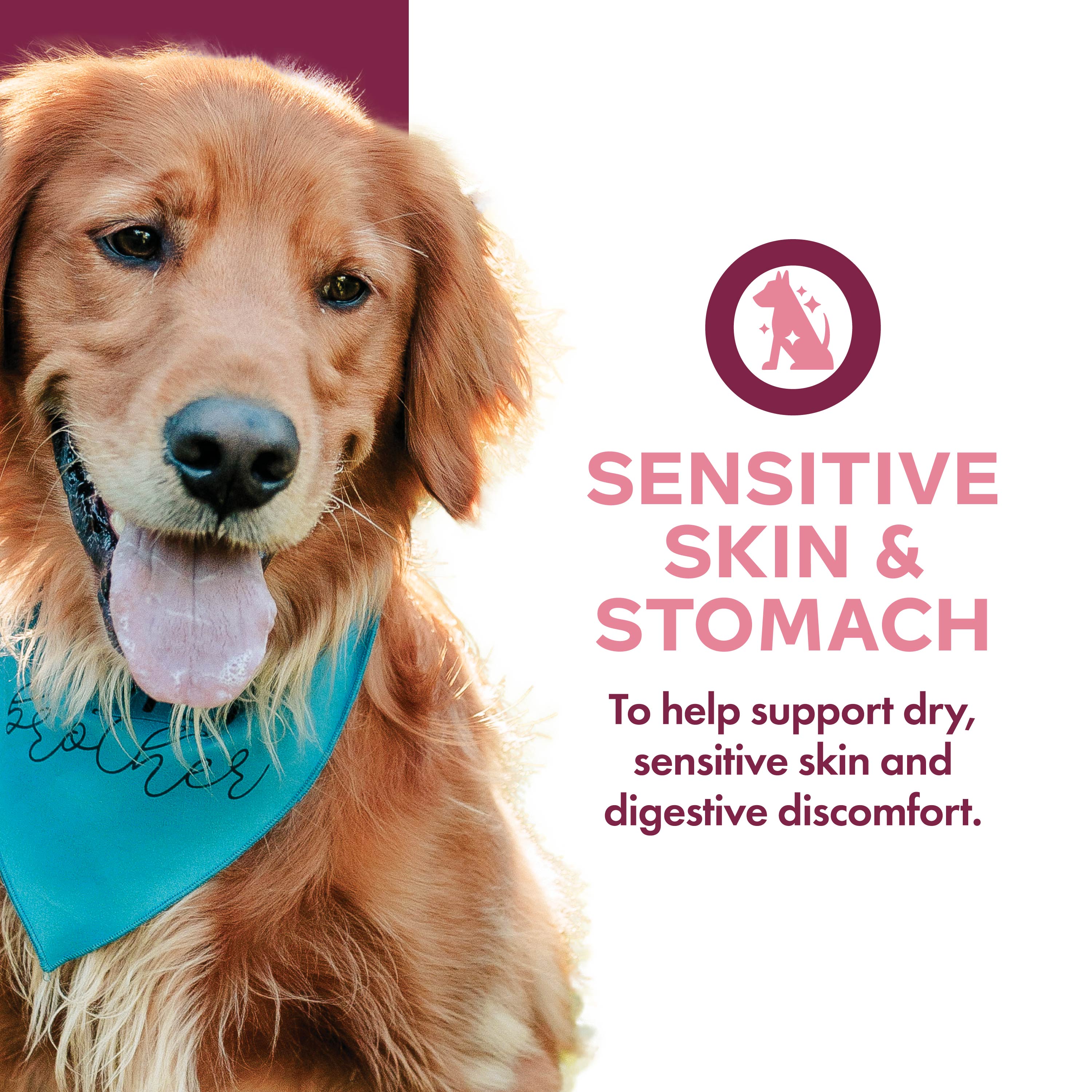 Fromm Nutritionals Sensitive Skin & Stomach Pâté Canned Dog Food - Canned Dog Food - Fromm - PetMax Canada