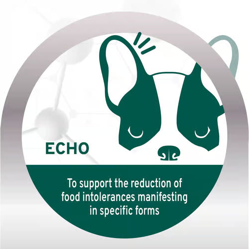 Forza10 Nutraceutic Active Echo Complete Diet Dry Dog Food