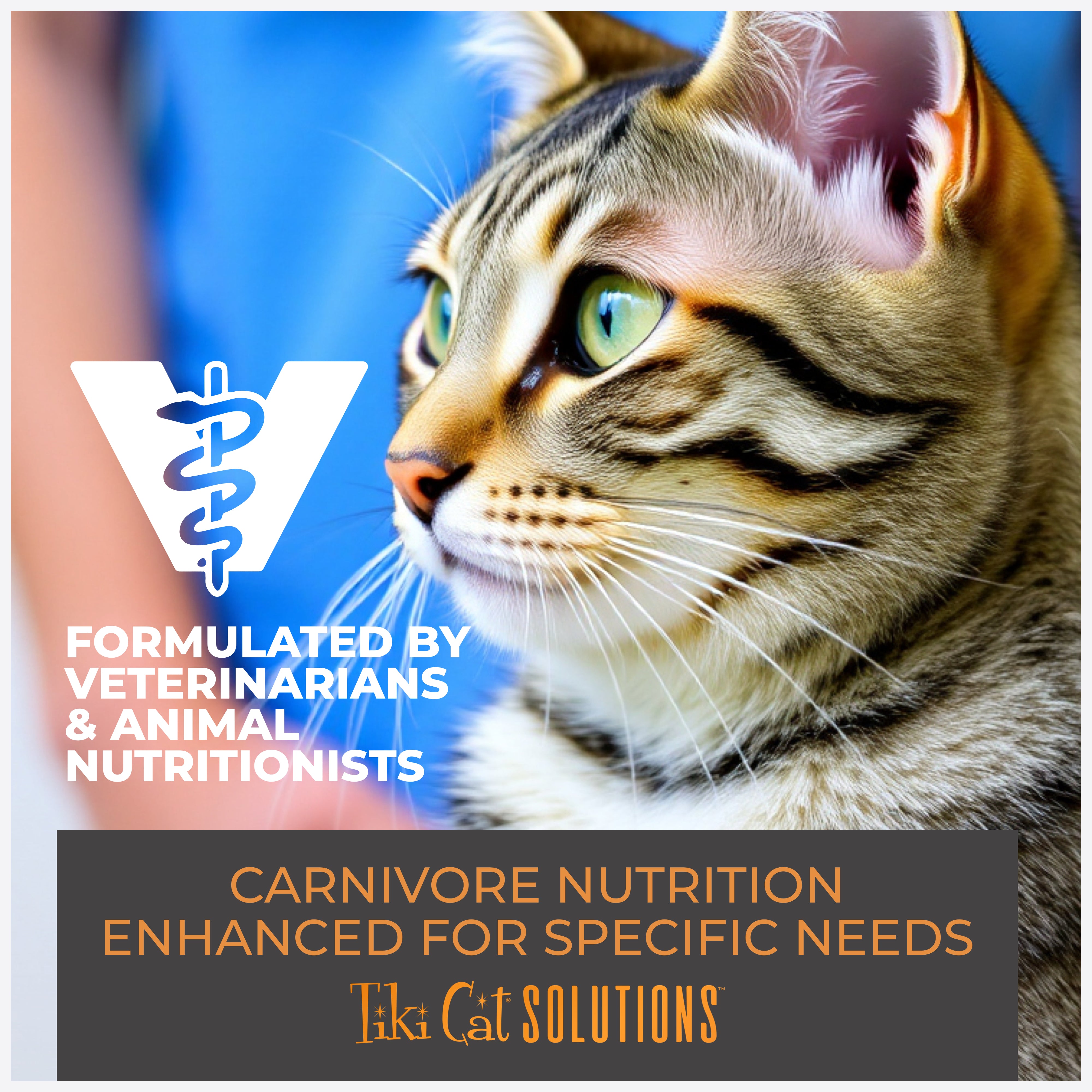 Tiki Cat Solutions Mousse Dental Chicken Recipe in Broth Wet Cat Food - Product Highlights 6 - Tiki Cat - PetMax Canada