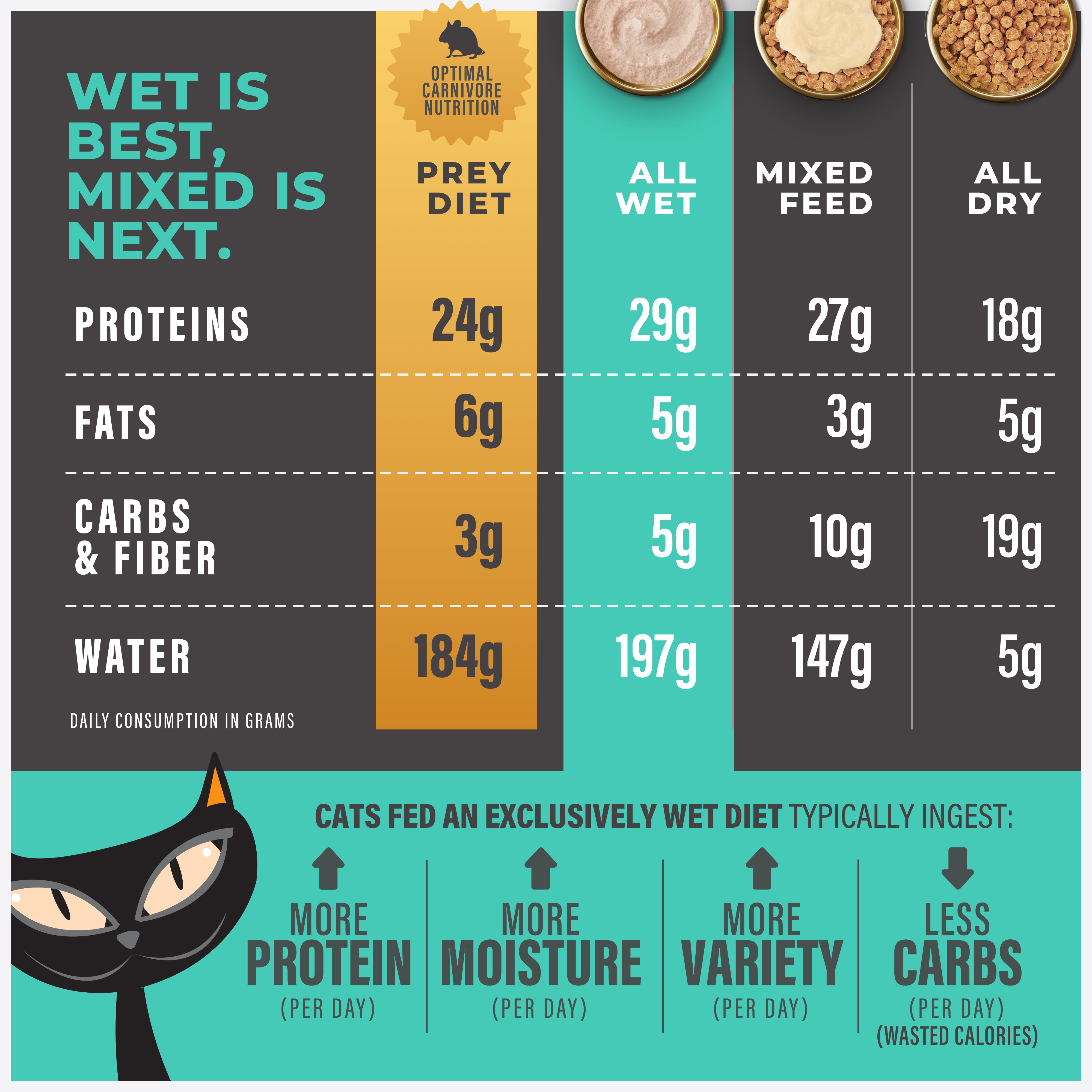 Tiki Cat Special Mousse Skin & Coat Salmon Recipe in Broth Wet Cat Food - Product Highlights 5 - Tiki Cat - PetMax Canada