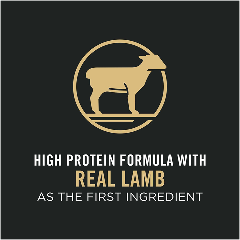 Purina Pro Plan High Protein Dog Food With Probiotics for Dogs Shredded Blend Lamb & Rice Formula Dog Food | PetMax Canada