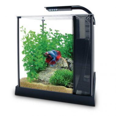 Fluval Betta Premium Aquarium Kit - 10L / 2.6 US Gal - Aquarium - Fluval - PetMax Canada