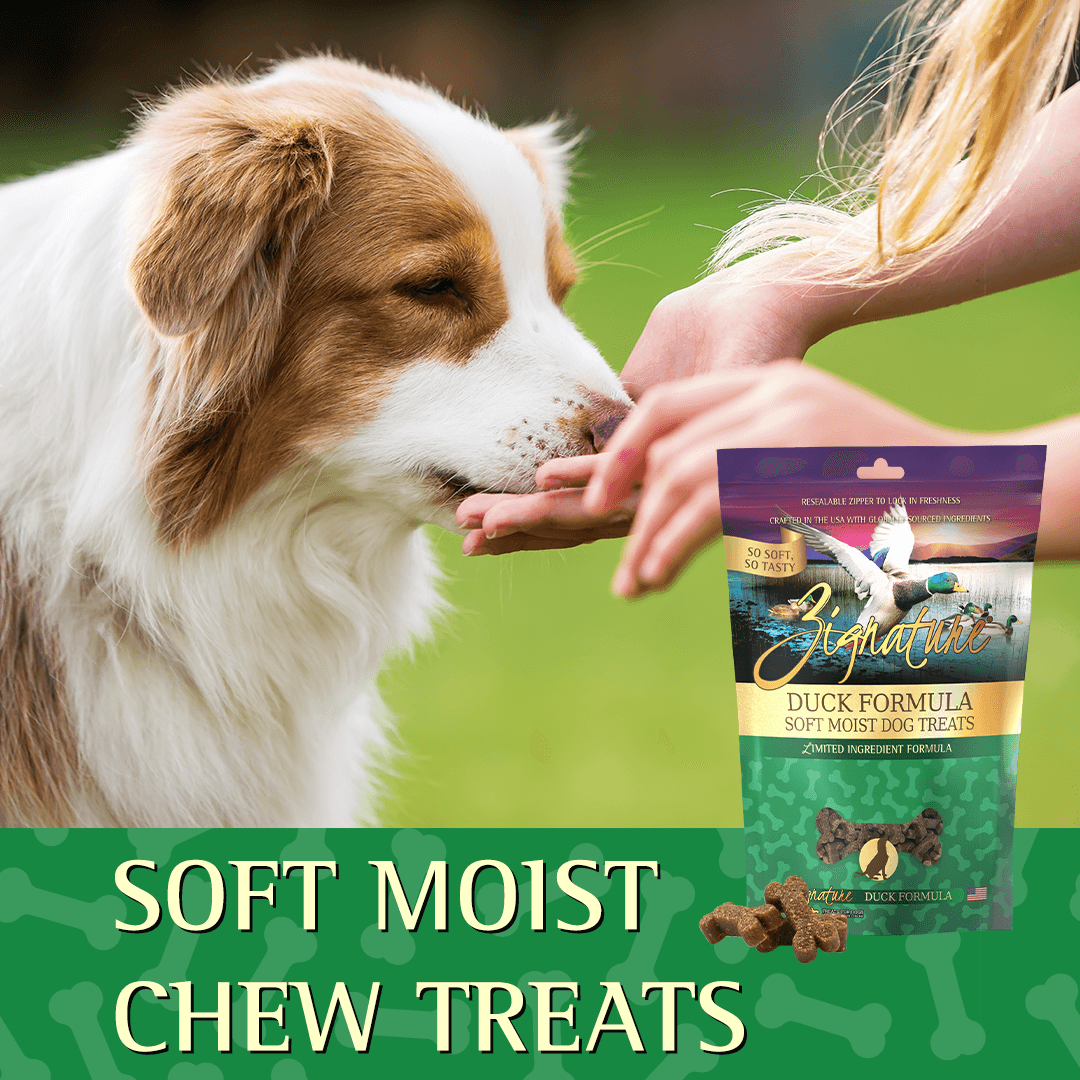 Zignature Duck Formula Soft Moist Treats for Dogs - 113g - Dog Treats - Zignature Pet Food - PetMax Canada