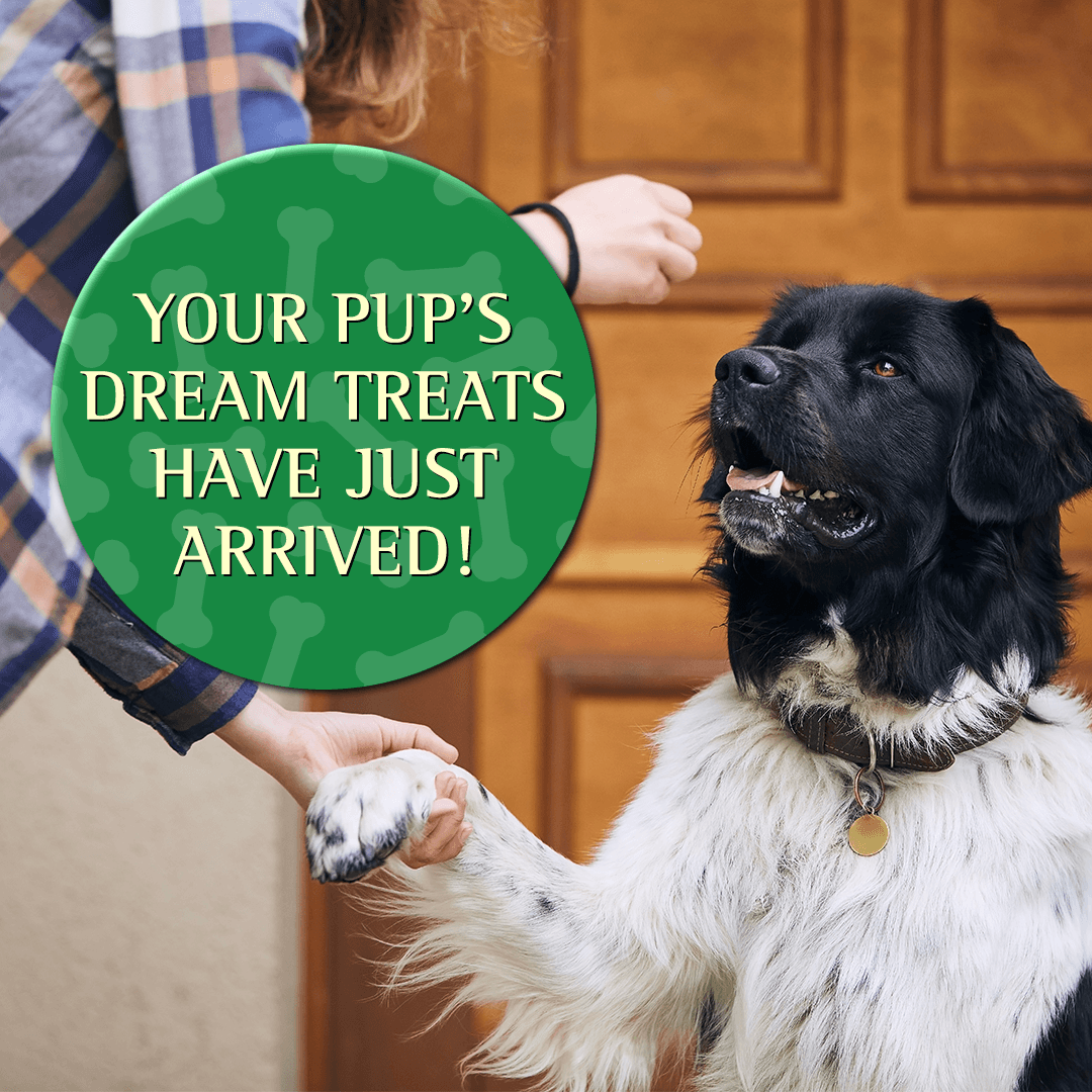 Zignature Duck Formula Soft Moist Treats for Dogs - 113g - Dog Treats - Zignature Pet Food - PetMax Canada