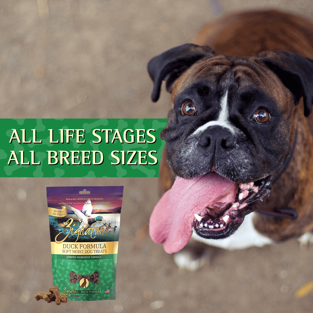 Zignature Duck Formula Soft Moist Treats for Dogs - 113g - Dog Treats - Zignature Pet Food - PetMax Canada