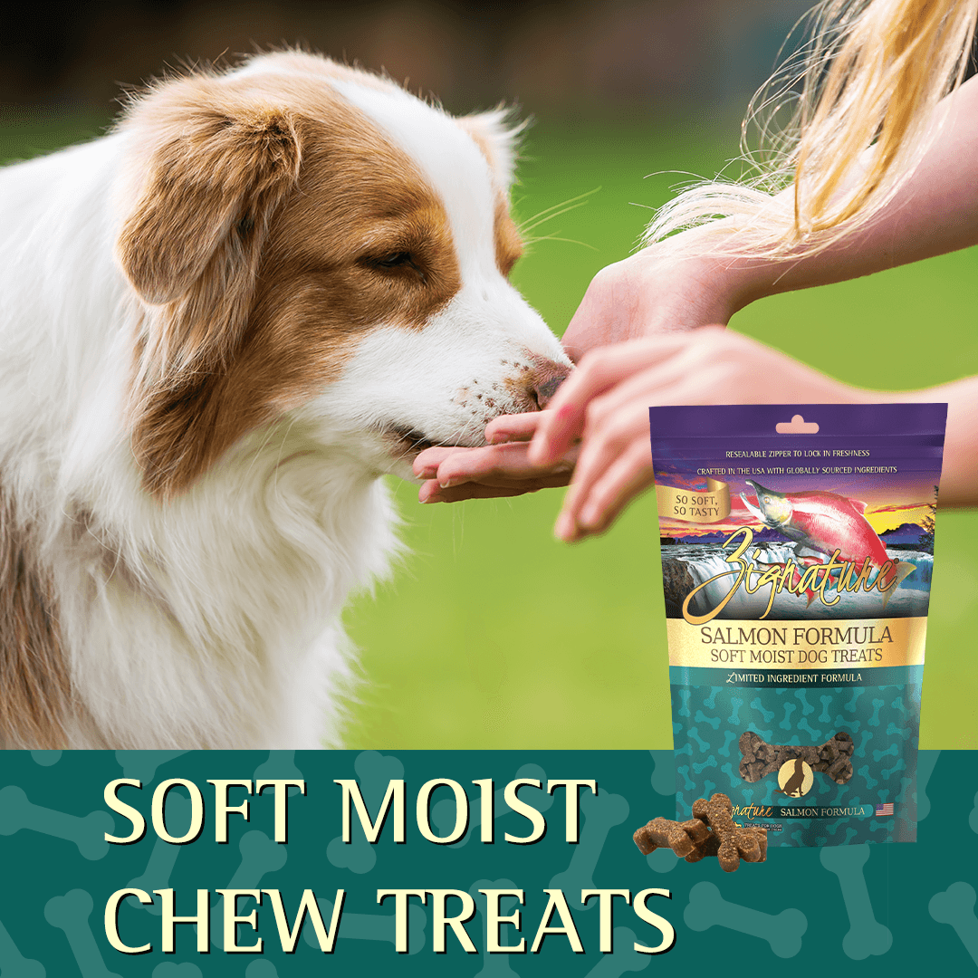 Zignature Salmon Formula Soft Moist Treats for Dogs - 113g - Dog Treats - Zignature Pet Food - PetMax Canada