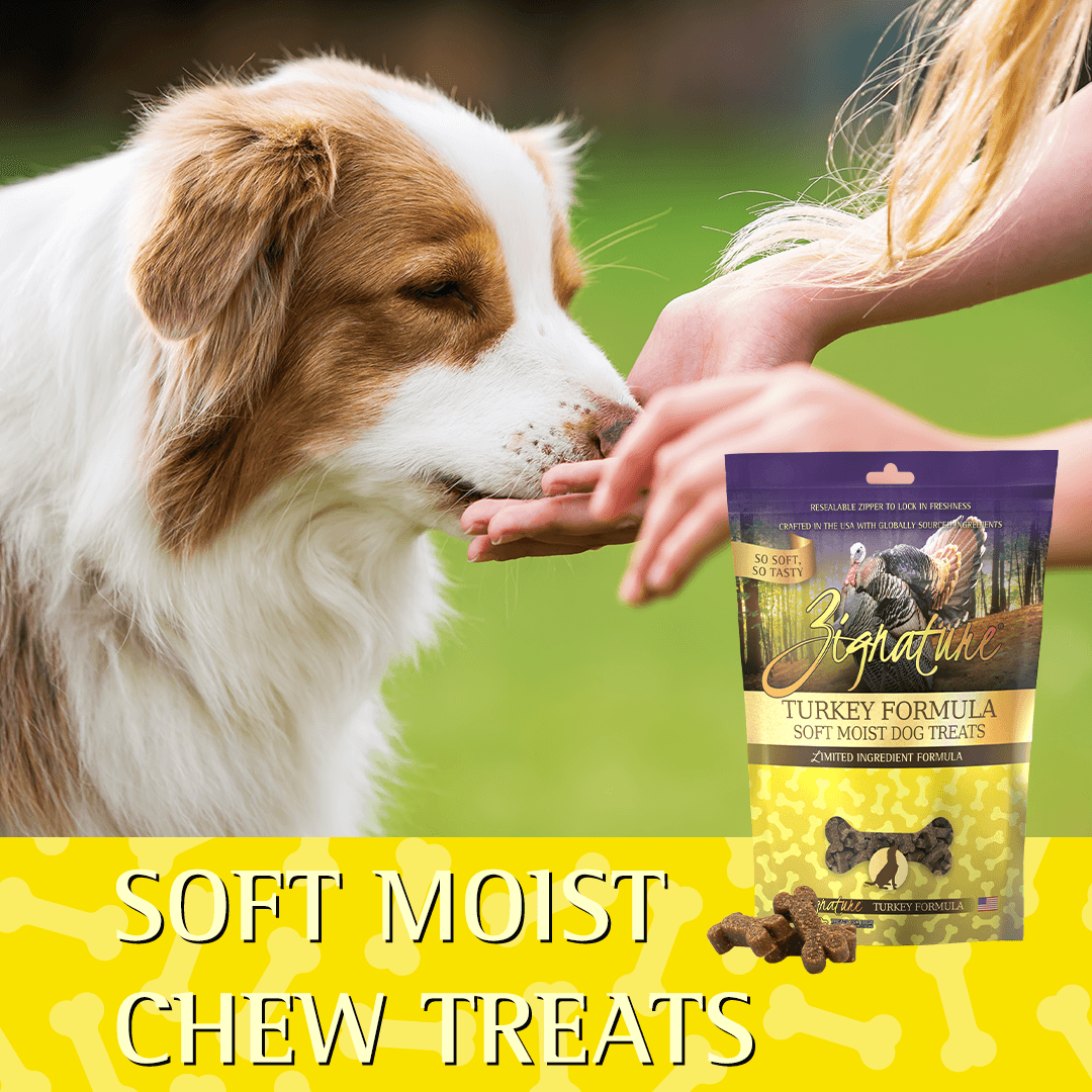 Zignature Turkey Formula Soft Moist Treats for Dogs - 113g - Dog Treats - Zignature Pet Food - PetMax Canada