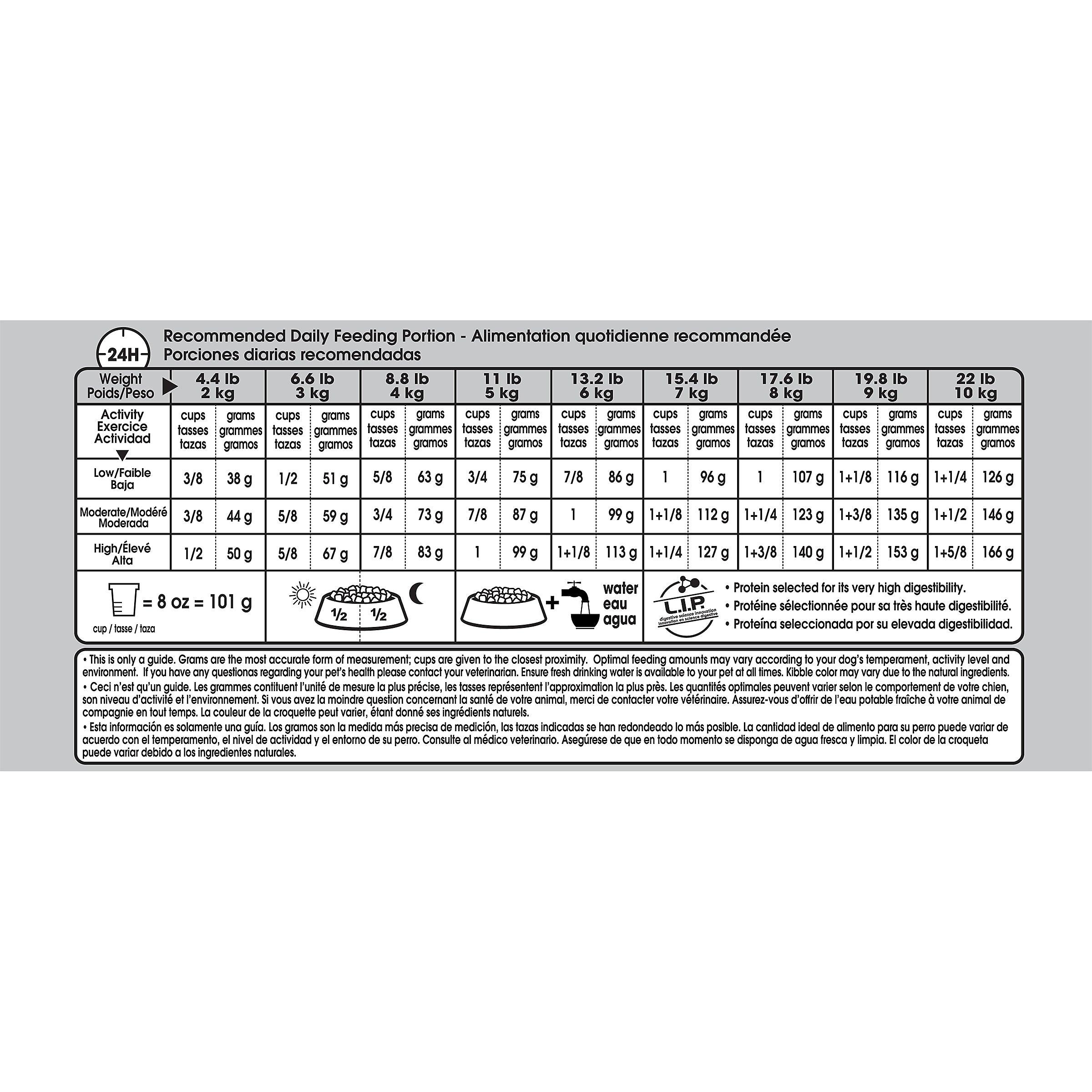 Royal Canin Small Fussy Appetite Dry Dog Food - 1.59 Kg - Dog Food - Royal Canin - PetMax Canada