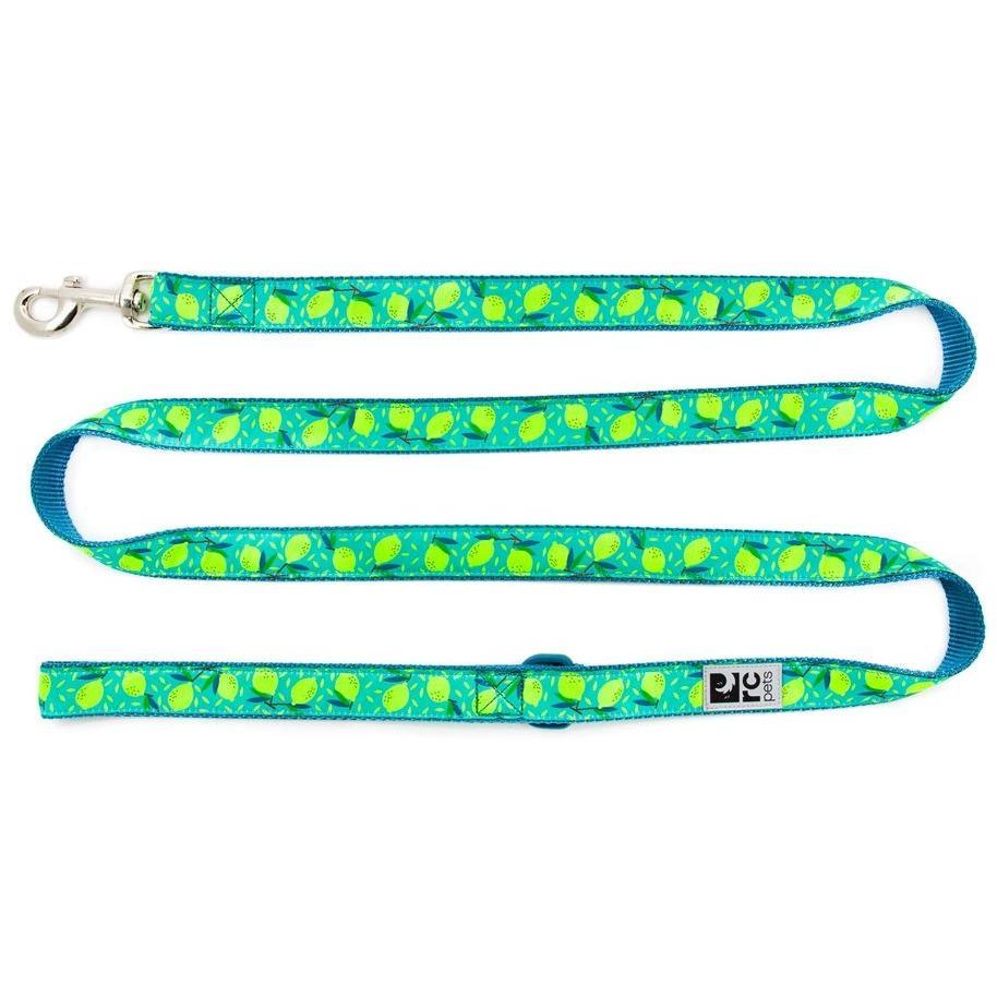 RC Dog Leash Lemonade - 3/4" x 6' - Leashes - RC Pet Products - PetMax Canada