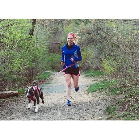 RC Dog Active Leash Red - 3/4" x 8' - Leashes - RC Pet Products - PetMax Canada