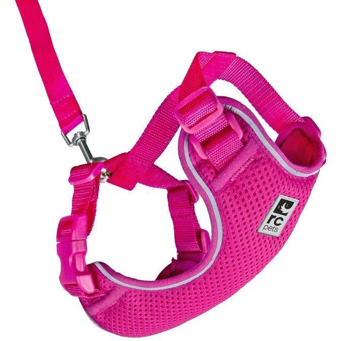 RC Kitty Adventure Harness Raspberry - Small - Cat Harness - RC Pet Products - PetMax Canada