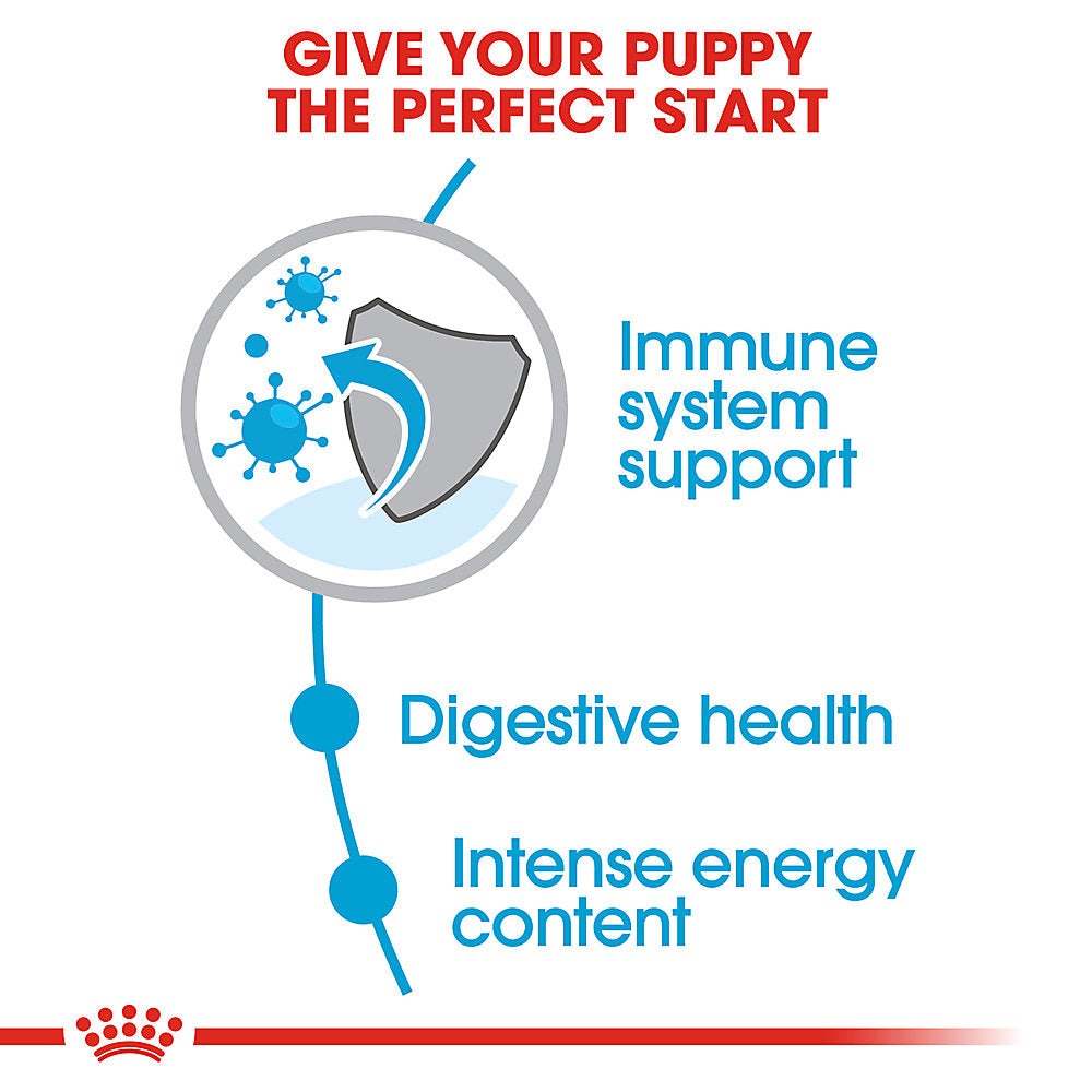 Royal Canin Dog Food Small Puppy  Dog Food  | PetMax Canada