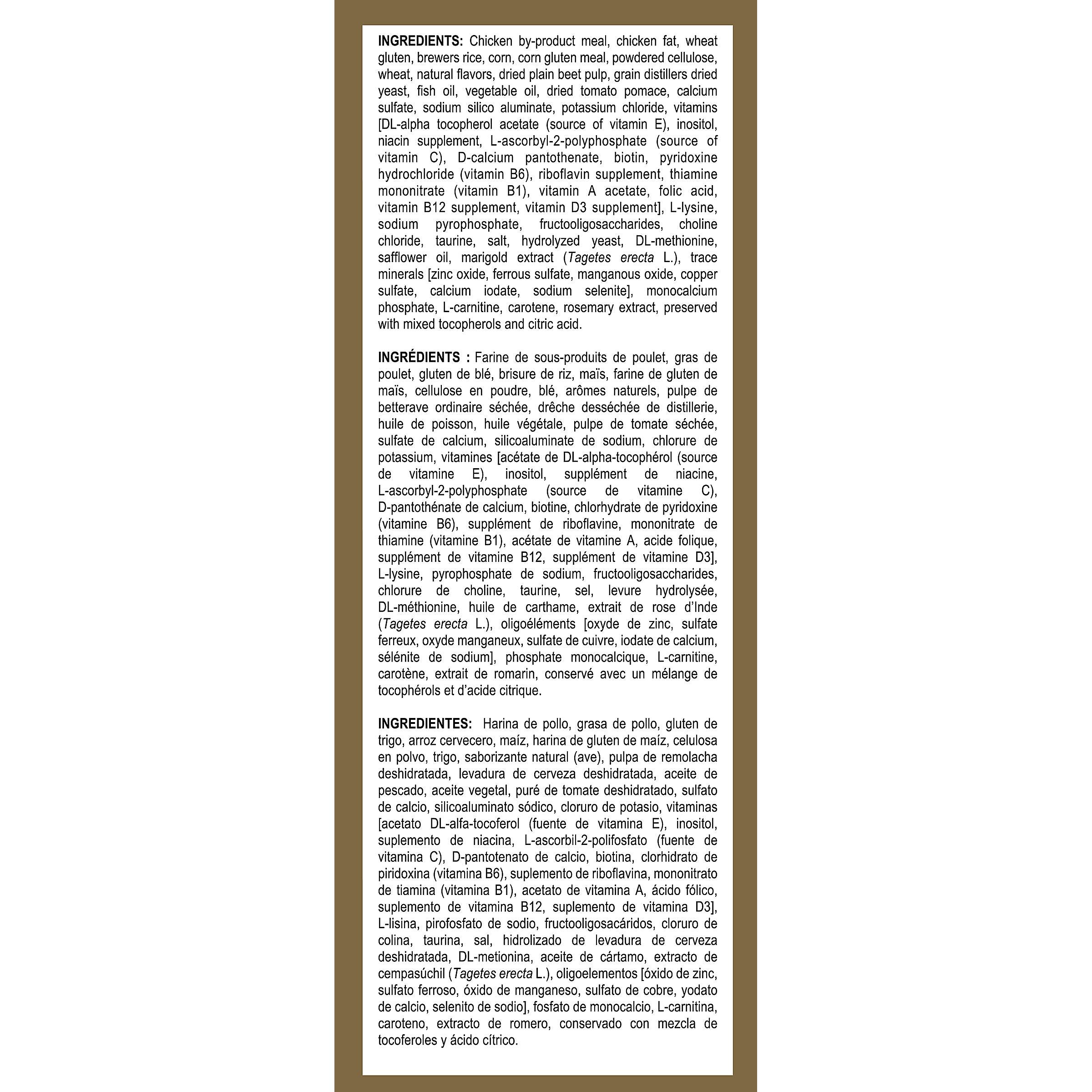 Royal Canin Feline Breed Nutrition Sphynx Adult Dry Cat Food - 3.2 Kg - Cat Food - Royal Canin - PetMax Canada