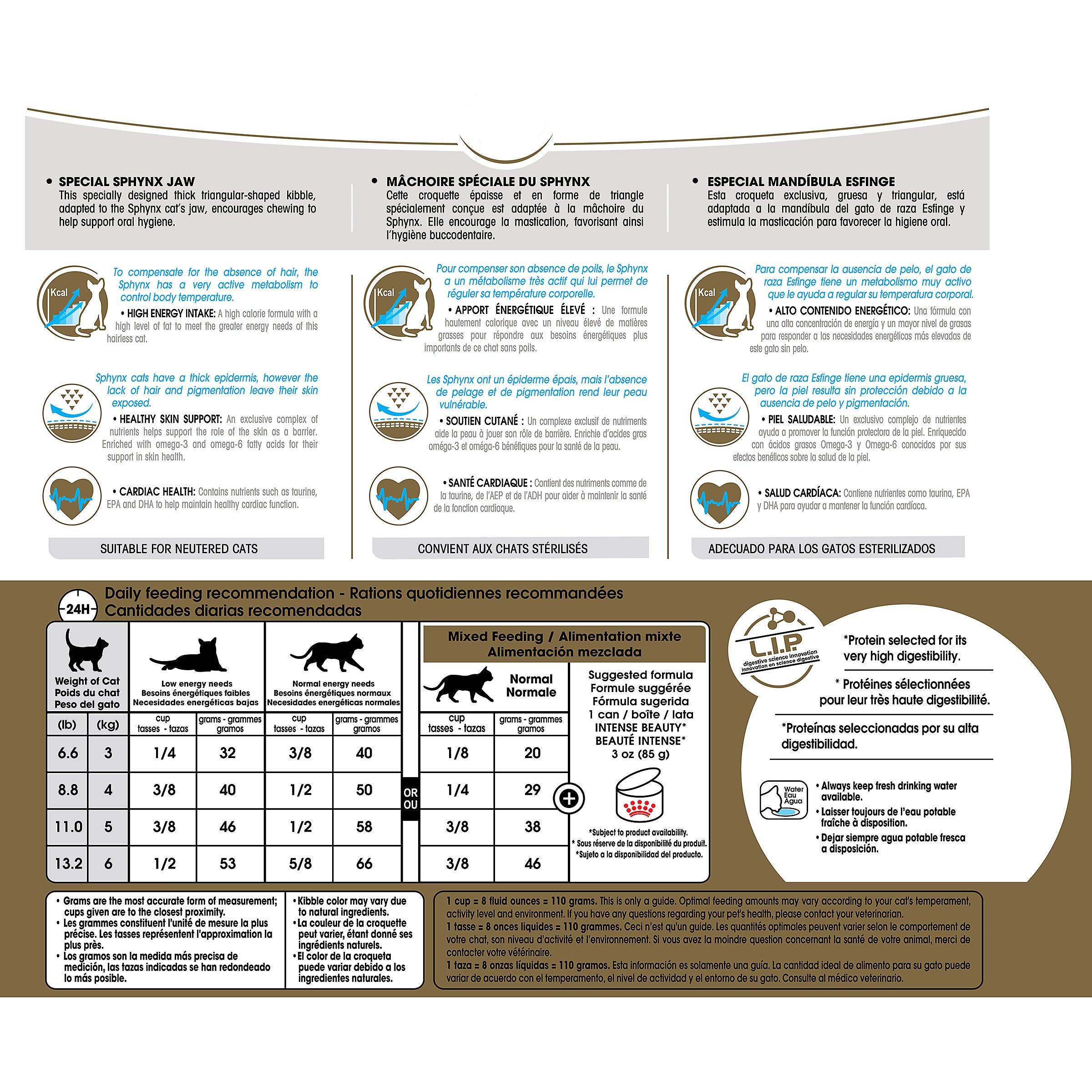 Royal Canin Feline Breed Nutrition Sphynx Adult Dry Cat Food - 3.2 Kg - Cat Food - Royal Canin - PetMax Canada